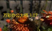 万彩办公大师 3.07 官方版